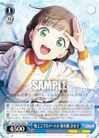 card529758-series400987-rarity557285