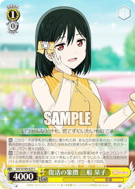 card529894-series401037-rarity557243