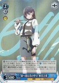 card530594-series401793-rarity557066