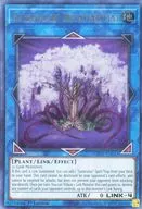card560165-series430895-rarity540536