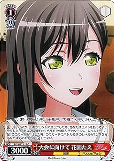card564415-series436511-rarity557243