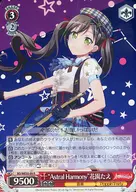 card564455-series436511-rarity557285