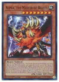 card566863-series373117-rarity540535