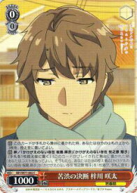 card568174-series440388-rarity557243