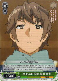 card568193-series440388-rarity557243