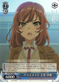 card571687-series444002-rarity557246