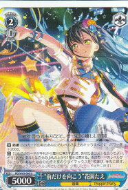 card572229-series444553-rarity557246