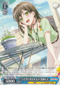 card572254-series444553-rarity557285
