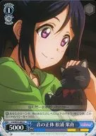 card575006-series447444-rarity557246