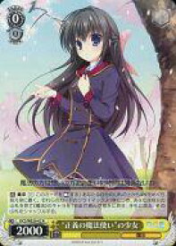 card584351-series457120-rarity557285