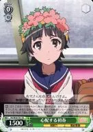 card586365-series460615-rarity557066