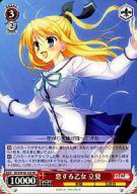 card589716-series462589-rarity557066