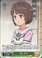 card590622-series463506-rarity557285
