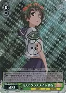 card590670-series463506-rarity557067