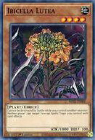 card591249-series377251-rarity540534