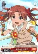 card595598-series468690-rarity557136