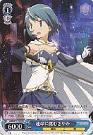 card595725-series468827-rarity557136