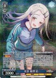 card520043-series469399-rarity557136