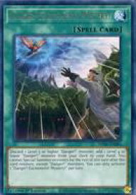 card598588-series444761-rarity540551