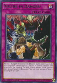 card598944-series377673-rarity540551