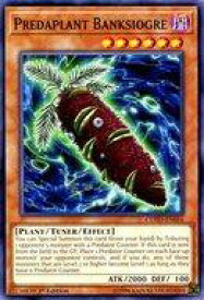 card601751-series477494-rarity540534