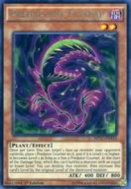 card_602264_