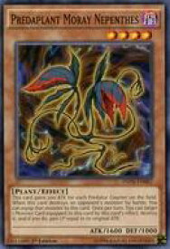 card602265-series479074-rarity540534