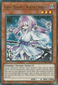 card604088-series373171-rarity540536