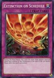 card604516-series377953-rarity540534