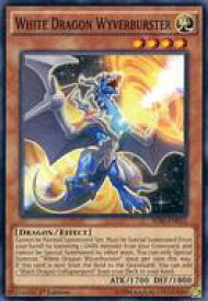 card605598-series378294-rarity540534