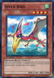 card606887-series378058-rarity540534