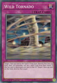 card_607515_series_483456_rarity_540534_