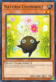card_607559_