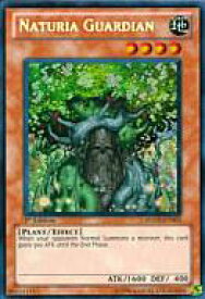 card607560-series491619-rarity540537