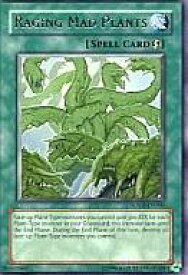 card607887-series378220-rarity540551