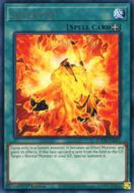 card607961-series377383-rarity540551