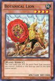 card608310-series377723-rarity540534