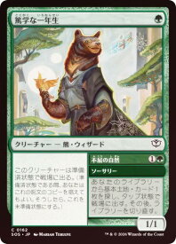 card6294092-series6538829-rarity323480
