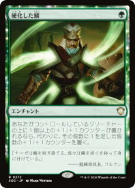 card300799-series6575274-rarity323476