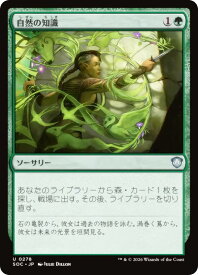 card313317-series6575274-rarity323478