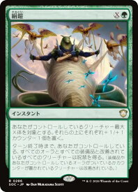 card333623-series6575274-rarity323476