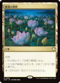 card314894-series6575274-rarity323476