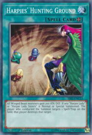 card715083-series483491-rarity540534