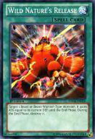 card715444-series487078-rarity540534