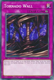 card715996-series377488-rarity540534