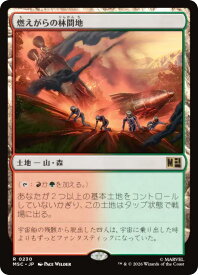 card300178-series8038002-rarity323476