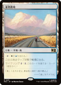 card298747-series8038002-rarity323476