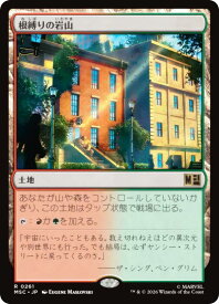 card298260-series8038002-rarity323476