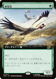 card306836-series8038002-rarity323476
