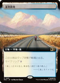 card298747-series8038002-rarity323476